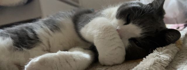 ﾋﾌﾟ·ﾂｲｽﾃ民さんの壁紙画像