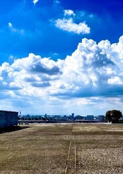 推しに監禁されてた件