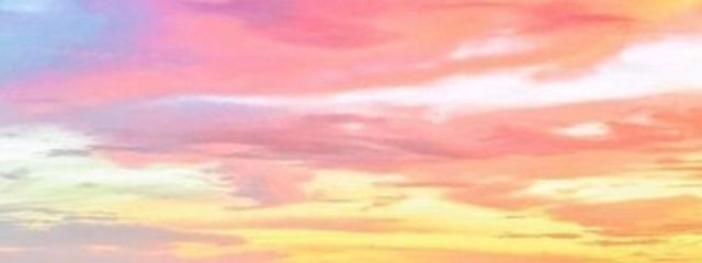 くらげ🫧🪼🫧💫さんの壁紙画像