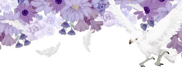 白布 鈴さんの壁紙画像