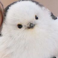 月さんのアイコン画像