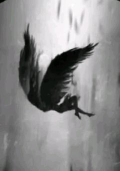 墜ちた私は天使と出会う