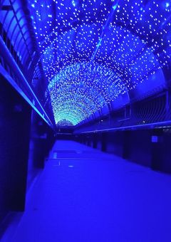 可愛いS級は戦いの時は別人