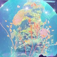 mooさんのアイコン画像