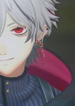 西 の 国 の 王 子 様