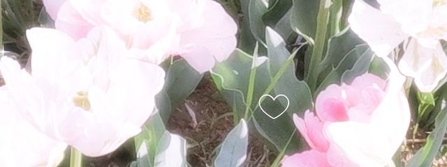 苺ちゃんさんの壁紙画像