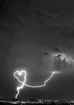 . 生徒会と問題児に愛された