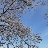 東リべ好き！さんのアイコン画像