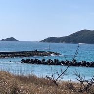 Hina_@めっちゃ少しずつ書いてますさんのアイコン画像