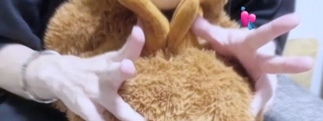 ꒰   ᩚ⸝ʚ̴̶̷̷ · ʚ̴̶̷̷ ⸝  ᩚ꒱さんの壁紙画像