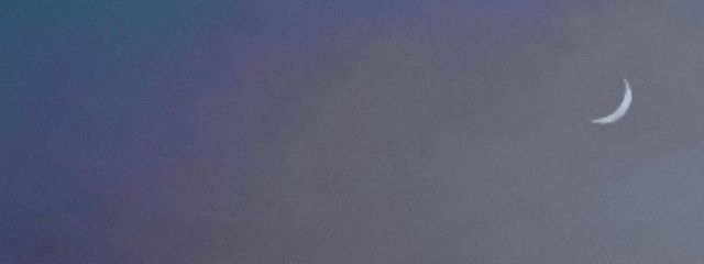 摘麦 。🌾さんの壁紙画像