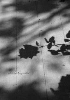 ヤンデレに愛されるお話