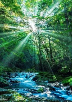 ブラック会社員 ヘビ飼育後 転職