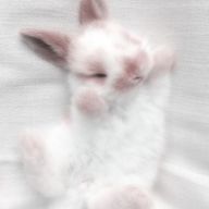 ひなたさんのアイコン画像