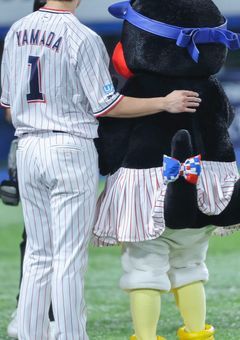 　❁⃘ 冷たい系男子 裏では甘々です　