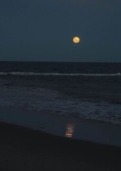 𝗐𝖺𝗂𝗍𝗂𝗇𝗀 𝖿𝗈𝗋 𝗒𝗈𝗎