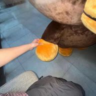 ☆-Runo-☆🪼🫧さんのアイコン画像