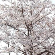 Seikiさんのアイコン画像