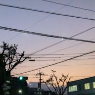 雪さんのアイコン画像