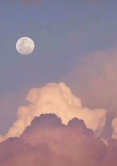 BLGLNL好きな子募集中！！！！