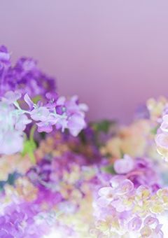 違う世界に生まれていたら。