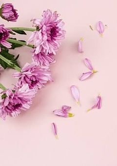 不透明なあなたは＿。