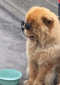 参加型に使うもの