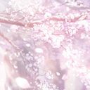 ヲタ&絵師☆🎨🌌