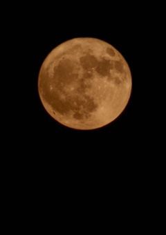 フォロワー祝い！！全員見ろ！！！ (上から目線ごめん)