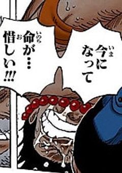 ワンピース　名言‼