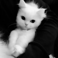 ゆ　ゆ　，さんのアイコン画像
