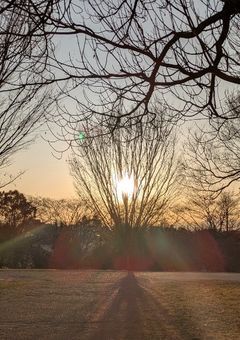 『過去を哭けよアルトラ』　いじめられっ子の少女が、暴力少年に依存して、共依存を目指したお話