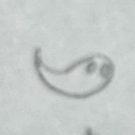 いぇーーーい🙌　　@フォロセしてます。💦さんのアイコン画像