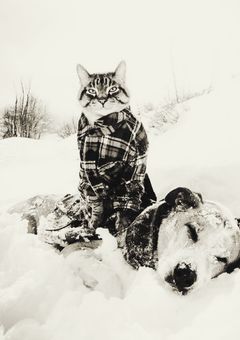 How long are you going to do this?🐰🐶