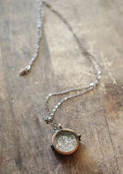 You should not underestimate me. 🦊🐶