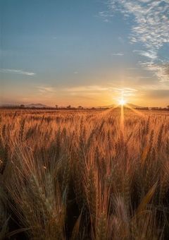 There's a limit to everything.🐖🐇🐶