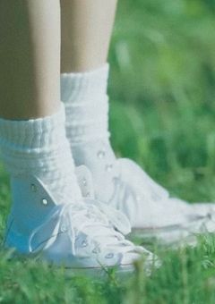 Thank you followers 🐶❤