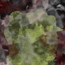 M🐸N🐸s🐸v🐸