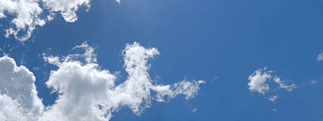 セント 🌱🌿‬さんの壁紙画像