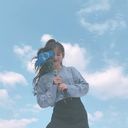 楓叶