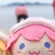 ぴんくのねこちゃん推し♡♡♡さんのアイコン画像
