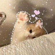 nanaさんのアイコン画像