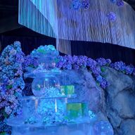 あずきさんのアイコン画像