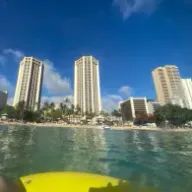 瑞紀🐳🐬さんのアイコン画像