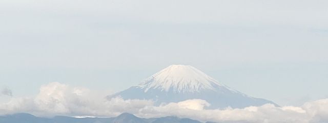がーすのさんの壁紙画像