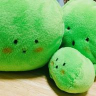 ぴ。さんのアイコン画像