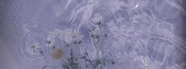 🪿さんの壁紙画像