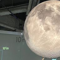 聖乃@低浮上者さんのアイコン画像