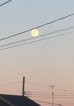 あの子、自分がわからないようです