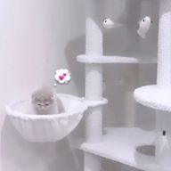 ゆめかさんのアイコン画像